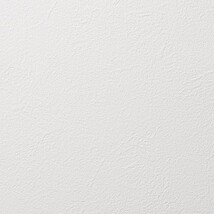 ホワイト 塗り壁調 消臭 抗菌 防かび   ルノン RH-9022