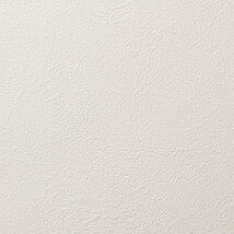 アイボリー 塗り壁調 消臭 抗菌 防かび   ルノン RH-9023