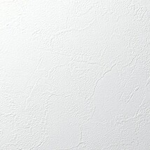 シャドーホワイト 塗り壁調 消臭 抗菌 防かび   ルノン RH-9024
