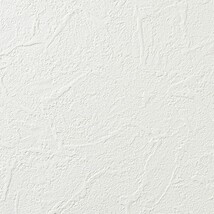 ホワイト 塗り壁調 消臭 防かび   ルノン RH-9030
