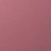 ピンク 塗り壁調 消臭 防かび   ルノン RH-9035