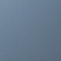 ブルー 塗り壁調 消臭 防かび   ルノン RH-9037