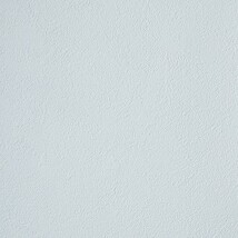 ライトブルー 塗り壁調 消臭 抗菌 防かび   ルノン RH-9050