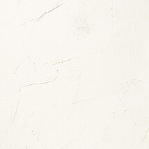 ホワイト 塗り壁調 消臭 防かび   ルノン RH-9054