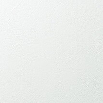 ホワイト 塗り壁調 消臭 防かび   ルノン RH-9058