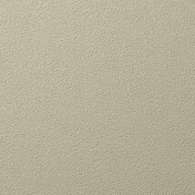 グリーン 塗り壁調 防かび 抗菌 撥水   ルノン RH-9346
