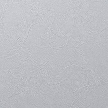 ライトブルー 塗り壁調 汚れ防止 抗菌 表面強化 防かび   ルノン RH-9370