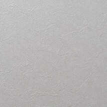 グレー 塗り壁調 汚れ防止 抗菌 表面強化 防かび   ルノン RH-9371