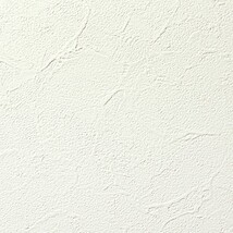 ホワイト 塗り壁調 汚れ防止 抗菌 表面強化 防かび   ルノン RH-9375