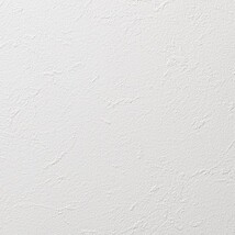 ホワイト 塗り壁調 汚れ防止 抗菌 防かび   ルノン RH-9389