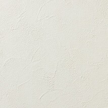 アイボリー 塗り壁調 汚れ防止 抗菌 防かび   ルノン RH-9396