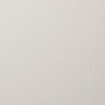 ベージュ 塗り壁調 抗アレルギー 防かび 抗菌   ルノン RH-9438
