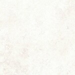 シャドーホワイト 塗り壁調  防かび SINCOL BB2051 旧品番BB8330