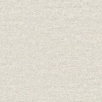 ライトグレー 塗り壁調 トルウイルスS/耐クラック 抗ウィルス 抗菌 防かび SINCOL BB2180 