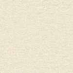 ベージュ 塗り壁調 トルウイルスS/耐クラック 抗ウィルス 抗菌 防かび SINCOL BB2196 
