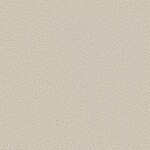 グレー 塗り壁調  防かび SINCOL BB2216 旧品番BB8332
