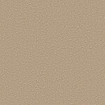ライトブラウン 塗り壁調  防かび SINCOL BB2222 旧品番BB8341