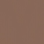ブラウン 塗り壁調  防かび SINCOL BB2225 旧品番BB8225