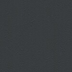 ブラック 塗り壁調  防かび SINCOL BB2263 