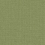 グリーン 織物調  防かび 表面強化 撥水 SINCOL BB2319 