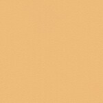 オレンジ 塗り壁調 光触媒 消臭 抗菌 防かび SINCOL BB2346 