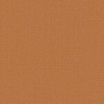 オレンジ 織物調  防かび 表面強化 撥水 SINCOL BB2351 