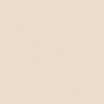 ベージュ 抽象デザイン  防かび SINCOL BB2454 旧品番BB8671