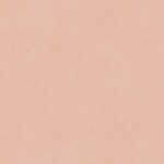 ピンク 塗り壁調 光触媒 消臭 抗菌 防かび 撥水 SINCOL BB8231 旧品番BB9288