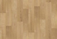ライトブラウン ノンワックスコーティング+衝撃吸収＋抗菌+抗ウイルス+消臭+防かび 東リ CF3704 