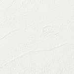 ホワイト 塗り壁調  防かび  サンゲツ FE74039