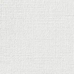 ホワイト 塗り壁調 ウレタンコート 汚れ防止 表面強化 防かび  サンゲツ FE74609
