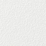ホワイト 塗り壁調  消臭 抗菌 防かび  サンゲツ FE74856