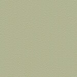 グリーン 塗り壁調  防かび 抗菌 撥水  サンゲツ FE76031