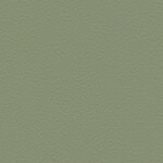 グリーン 塗り壁調  防かび 抗菌 撥水  サンゲツ FE76032