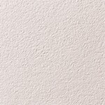 ベージュ 塗り壁調  汚れ防止 抗菌 防かび  サンゲツ FE76102 