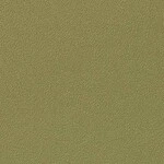 グリーン 塗り壁調 スーパー耐久性 汚れ防止 耐久 抗菌 表面強化 防かび  サンゲツ FE76119 