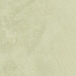 グリーン 塗り壁調  防かび 抗菌 撥水  サンゲツ FE76126 