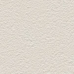 ライトグレー 塗り壁調  防かび 抗菌 表面強化 撥水 消臭  サンゲツ FE76240 