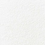 ホワイト 塗り壁調  防かび 抗菌 表面強化 撥水 消臭  サンゲツ FE76249 旧品番FE74656