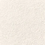 アイボリー 塗り壁調  防かび 抗菌 表面強化 撥水 消臭  サンゲツ FE76250 