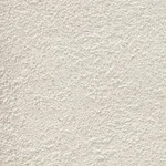 ライトグレー 塗り壁調  防かび 抗菌 表面強化 撥水  サンゲツ FE76254 