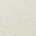 シャドーホワイト 塗り壁調 ウレタンコート 表面強化 防かび  サンゲツ FE76296 旧品番FE74625