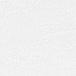 ホワイト 塗り壁調 ウレタンコート 防かび 抗菌 表面強化 撥水  サンゲツ FE76300 旧品番FE74623