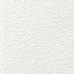 シャドーホワイト 塗り壁調  抗ウィルス 抗菌 防かび  サンゲツ FE76315 