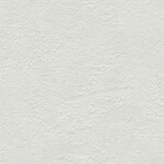 シャドーホワイト 塗り壁調  防かび 抗菌 表面強化 汚れ防止  サンゲツ FE76359 