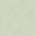 グリーン 塗り壁調  防かび 抗菌 表面強化 汚れ防止  サンゲツ FE76360 