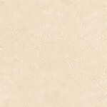 ベージュ 塗り壁調  防かび  サンゲツ FE78072