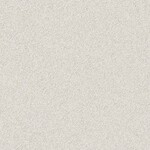 ライトグレー 塗り壁調  防かび  サンゲツ FE78214 旧品番FE76549
