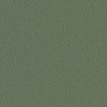グリーン 塗り壁調  防かび 抗菌 撥水  サンゲツ FE78236 