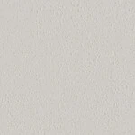 ライトグレー 塗り壁調  防かび 抗菌 撥水  サンゲツ FE78301 